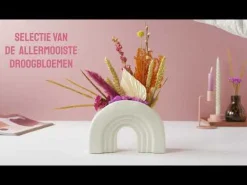 Bloomposy met Hieperdepiep hoera Primera Keuze Cadeaukaart