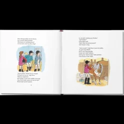 Boek