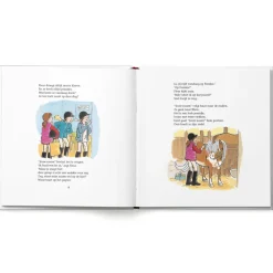 Boek