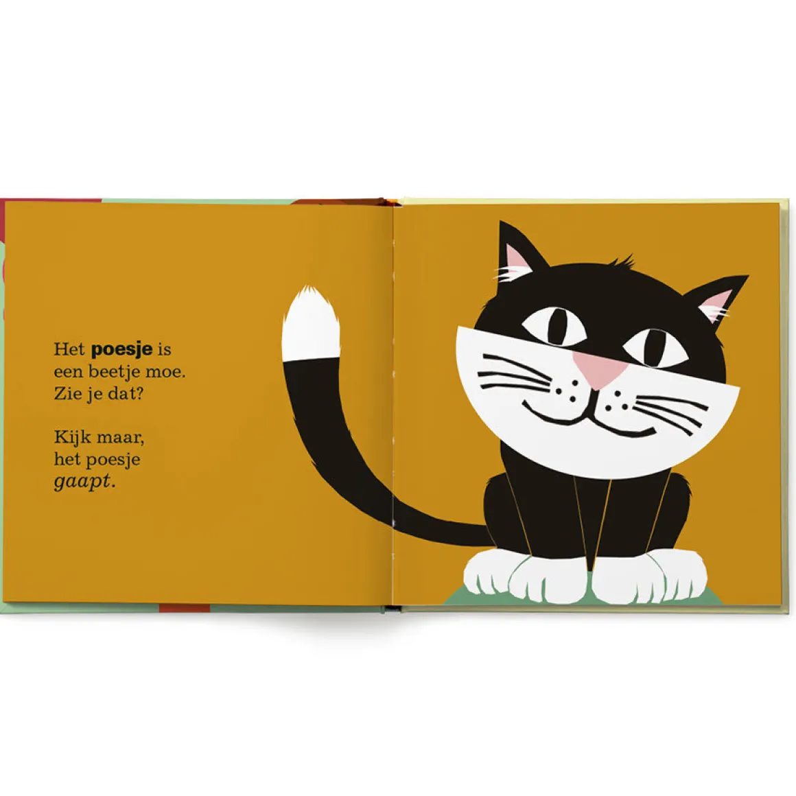 Flapjesboek met naam XXL - Iedereen gaapt