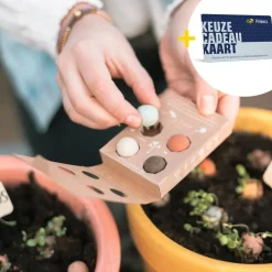 Zaaibommetjes goud waard met Ontzettend bedankt Primera Keuze Cadeaukaart